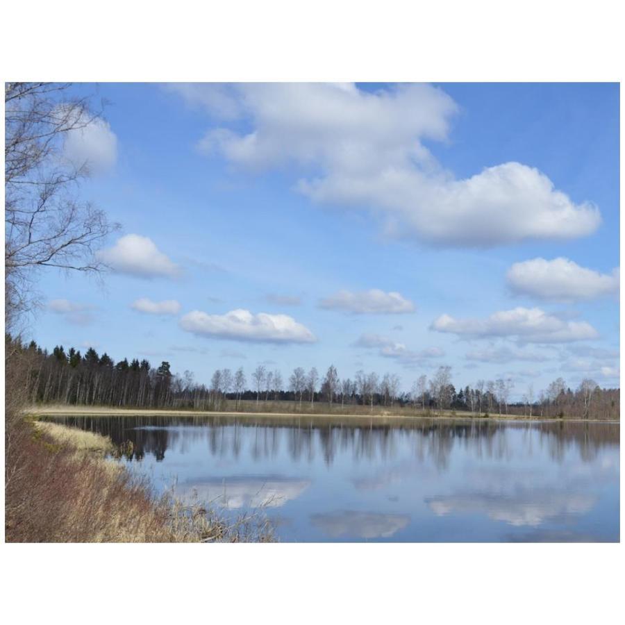 Stegemans Horse Hotel And Country Lodge Ljungby  Zewnętrze zdjęcie