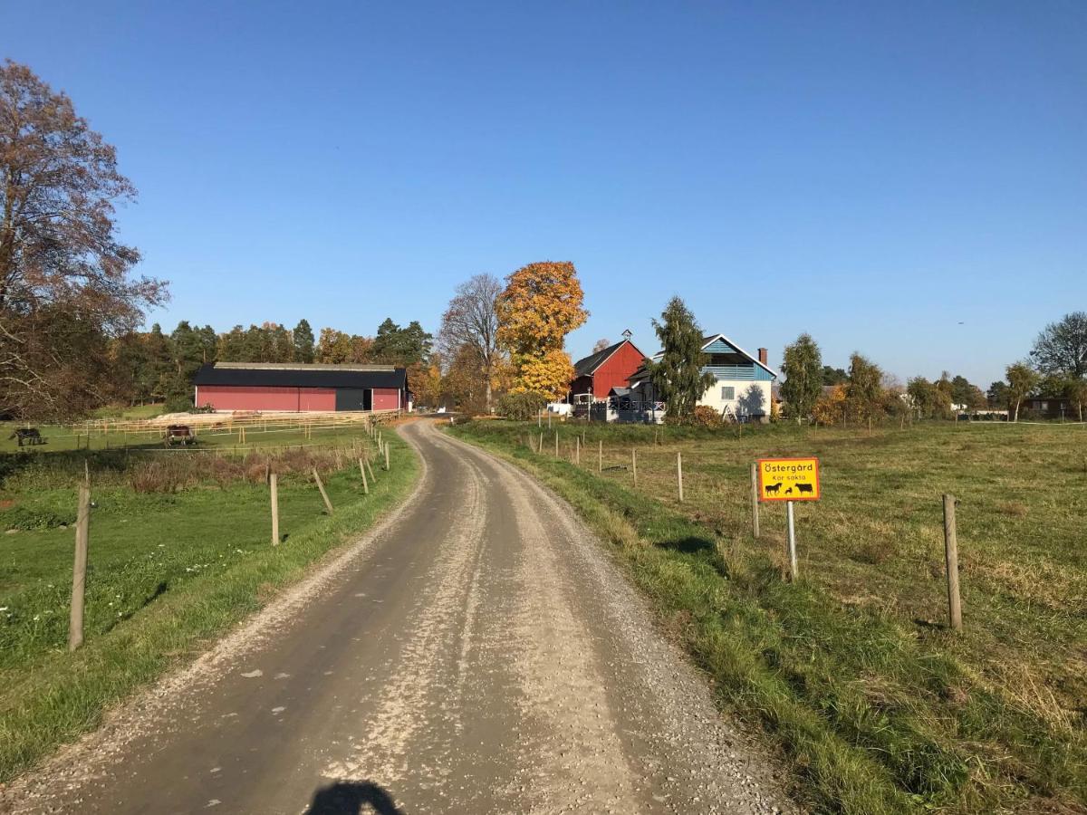 Stegemans Horse Hotel And Country Lodge Ljungby  Zewnętrze zdjęcie